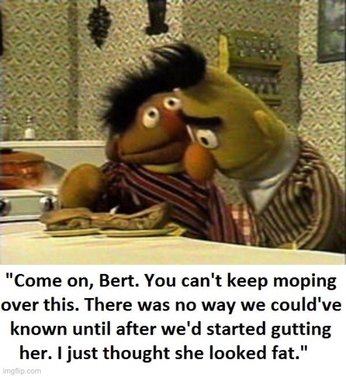 Sesame Street | image tagged in bert and ernie | made w/ Imgflip meme maker