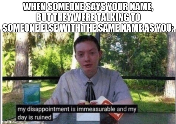 Lol | WHEN SOMEONE SAYS YOUR NAME, BUT THEY WERE TALKING TO SOMEONE ELSE WITH THE SAME NAME AS YOU: | image tagged in my dissapointment is immeasurable and my day is ruined,cool | made w/ Imgflip meme maker