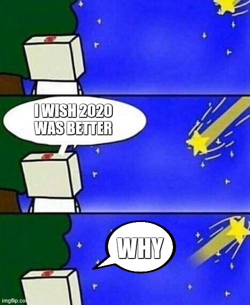 falling star wish desire disappointment | I WISH 2020 WAS BETTER; WHY | image tagged in falling star wish desire disappointment | made w/ Imgflip meme maker