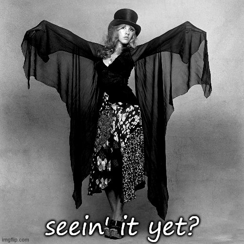 When your pop idol channels her inner Stevie Nicks. | seein' it yet? | image tagged in stevie nicks black  white,fleetwood mac,black and white,style,hat,california | made w/ Imgflip meme maker