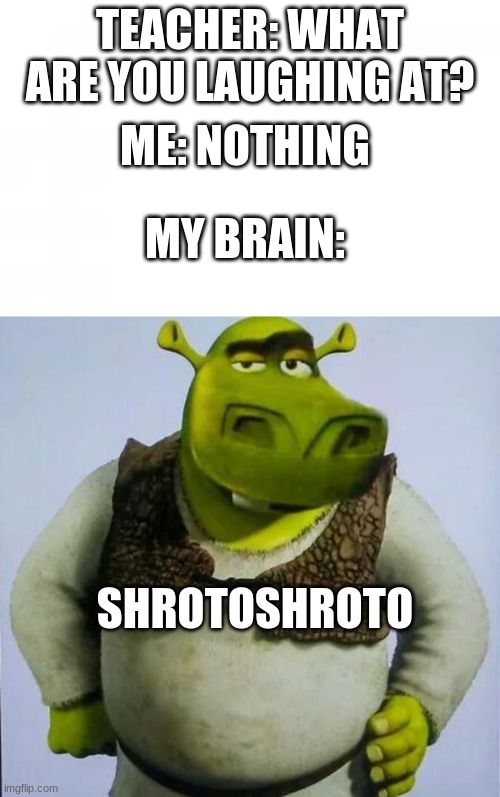 shrotoshroto |  TEACHER: WHAT ARE YOU LAUGHING AT? ME: NOTHING; MY BRAIN:; SHROTOSHROTO | image tagged in shreck | made w/ Imgflip meme maker