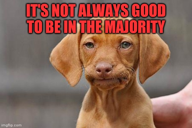 Dissapointed puppy | IT'S NOT ALWAYS GOOD TO BE IN THE MAJORITY | image tagged in dissapointed puppy | made w/ Imgflip meme maker