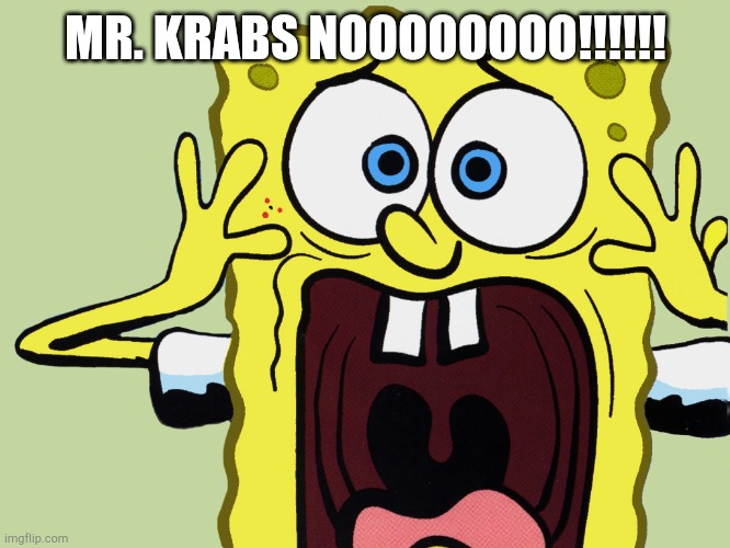 Spongebob scaredpants | MR. KRABS NOOOOOOOO!!!!!! | image tagged in spongebob scaredpants | made w/ Imgflip meme maker