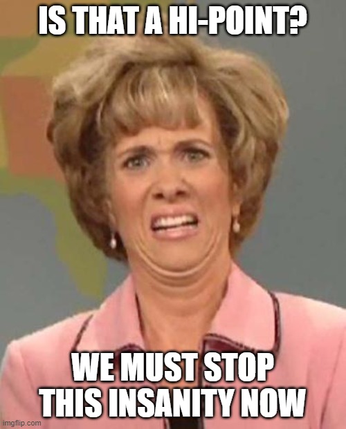 Disgusted Kristin Wiig | IS THAT A HI-POINT? WE MUST STOP THIS INSANITY NOW | image tagged in disgusted kristin wiig | made w/ Imgflip meme maker