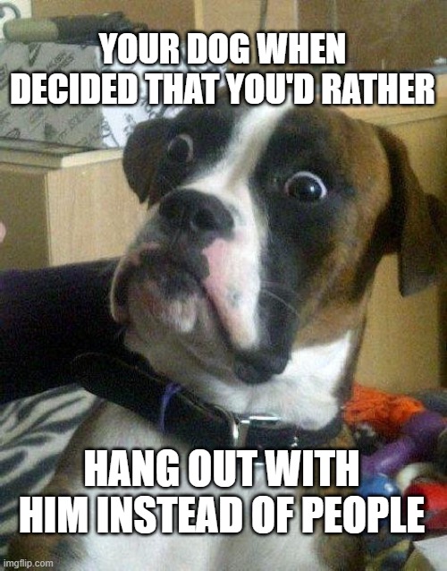 Surprised Dog | YOUR DOG WHEN DECIDED THAT YOU'D RATHER; HANG OUT WITH HIM INSTEAD OF PEOPLE | image tagged in surprised dog | made w/ Imgflip meme maker