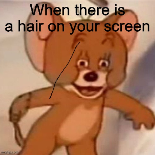 Polish Jerry | When there is a hair on your screen | image tagged in polish jerry | made w/ Imgflip meme maker