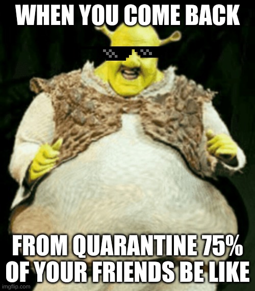 Dank shrek | WHEN YOU COME BACK; FROM QUARANTINE 75% OF YOUR FRIENDS BE LIKE | image tagged in shrek,life | made w/ Imgflip meme maker