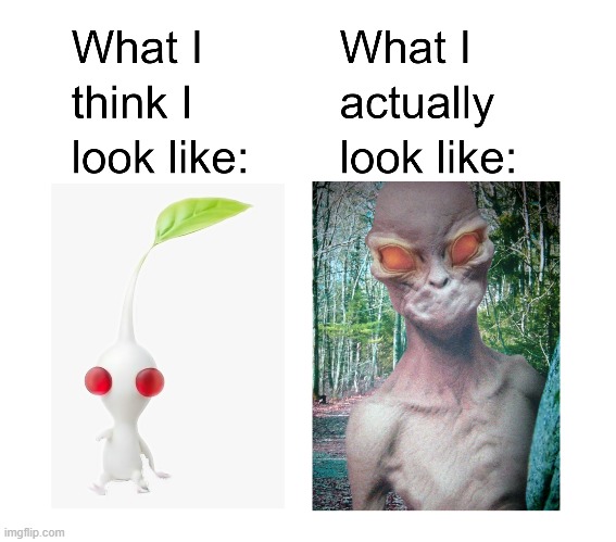 What I really look like. | image tagged in pikmin,what i actually look like meme,dover demon | made w/ Imgflip meme maker