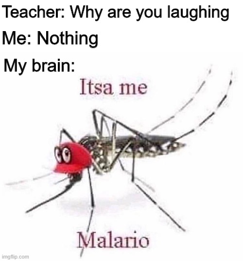 Malario | Teacher: Why are you laughing; Me: Nothing; My brain: | image tagged in mario,memes,funny,teacher,mosquito | made w/ Imgflip meme maker