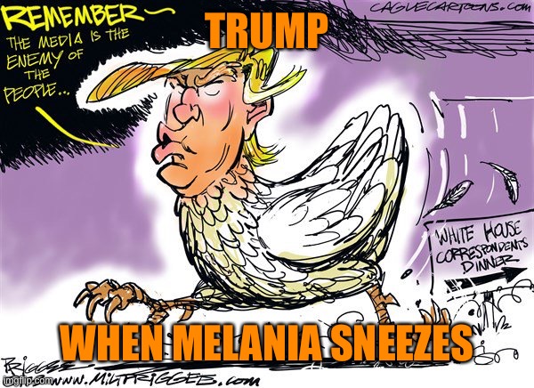 TRUMP WHEN MELANIA SNEEZES | made w/ Imgflip meme maker