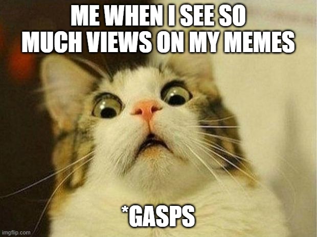 Scared Cat | ME WHEN I SEE SO MUCH VIEWS ON MY MEMES; *GASPS | image tagged in memes,scared cat | made w/ Imgflip meme maker