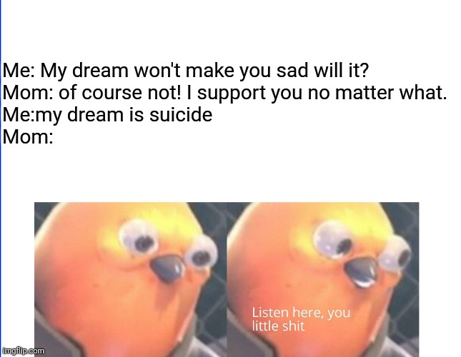 Never let your family hold you back | Me: My dream won't make you sad will it?
Mom: of course not! I support you no matter what.
Me:my dream is suicide
Mom: | image tagged in listen here you little shit,coolish | made w/ Imgflip meme maker