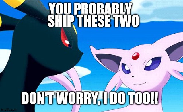 Umbreon and Espeon | SHIP THESE TWO; YOU PROBABLY; DON'T WORRY, I DO TOO!! | image tagged in umbreon and espeon | made w/ Imgflip meme maker