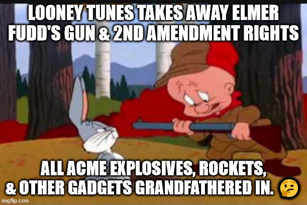 fudd | LOONEY TUNES TAKES AWAY ELMER FUDD'S GUN & 2ND AMENDMENT RIGHTS; ALL ACME EXPLOSIVES, ROCKETS, & OTHER GADGETS GRANDFATHERED IN. 🤔 | image tagged in fudd | made w/ Imgflip meme maker