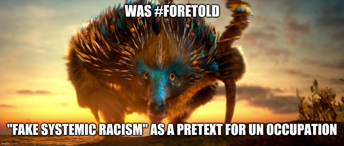 #PuppetMaster | WAS #FORETOLD; "FAKE SYSTEMIC RACISM" AS A PRETEXT FOR UN OCCUPATION | image tagged in first world problems | made w/ Imgflip meme maker