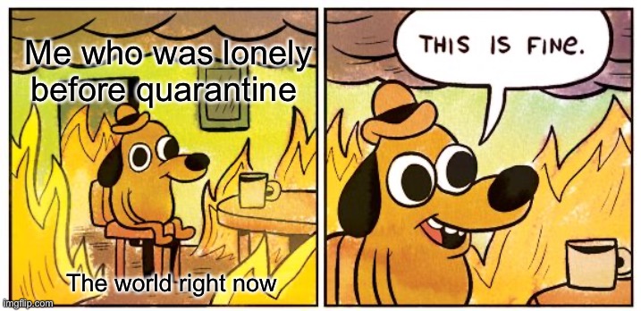 I’m lonely | Me who was lonely before quarantine; The world right now | image tagged in memes,this is fine | made w/ Imgflip meme maker