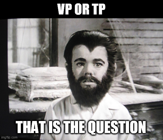 The Dems Have a Tough Decision to Make | VP OR TP; THAT IS THE QUESTION | image tagged in biden,2020,vice president,tp,national security,eddie munster | made w/ Imgflip meme maker