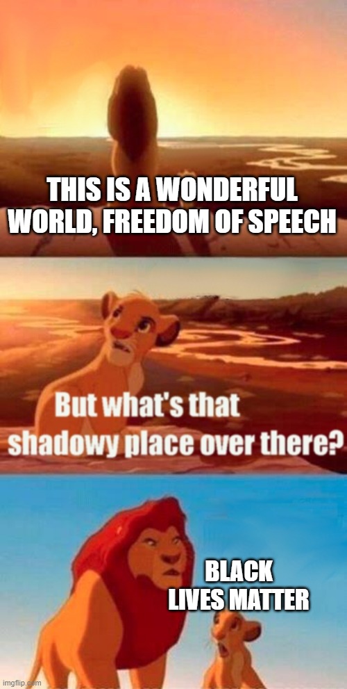 George Floyd... | THIS IS A WONDERFUL WORLD, FREEDOM OF SPEECH; BLACK LIVES MATTER | image tagged in memes,simba shadowy place | made w/ Imgflip meme maker