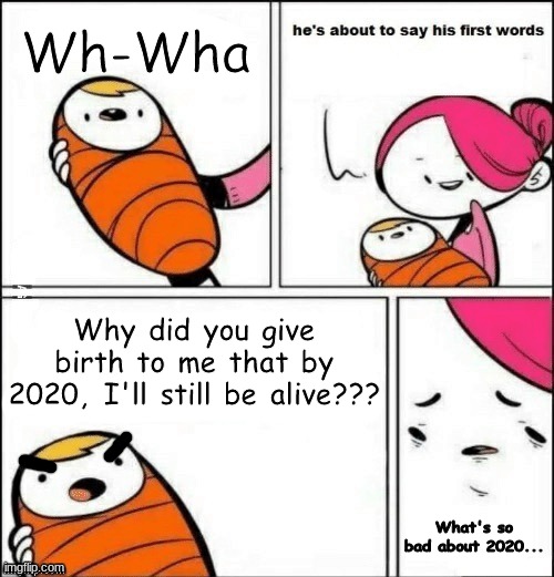 The words of a child born for 2020 | Wh-Wha; Why did you give birth to me that by 2020, I'll still be alive??? What's so bad about 2020... | image tagged in memes | made w/ Imgflip meme maker