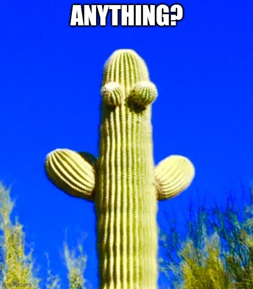 Huggy Cactus  | ANYTHING? | image tagged in huggy cactus | made w/ Imgflip meme maker