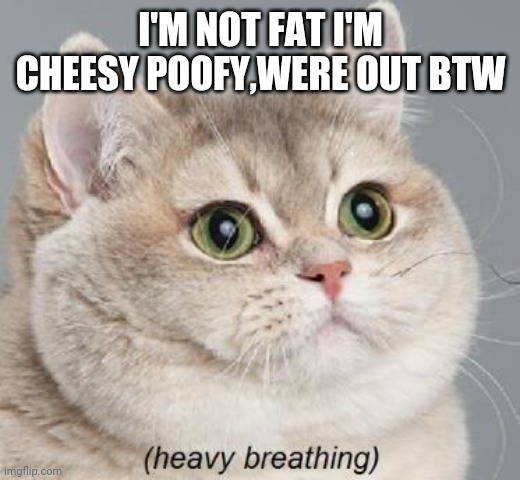 Heavy Breathing Cat Meme | I'M NOT FAT I'M CHEESY POOFY,WERE OUT BTW | image tagged in memes,heavy breathing cat | made w/ Imgflip meme maker