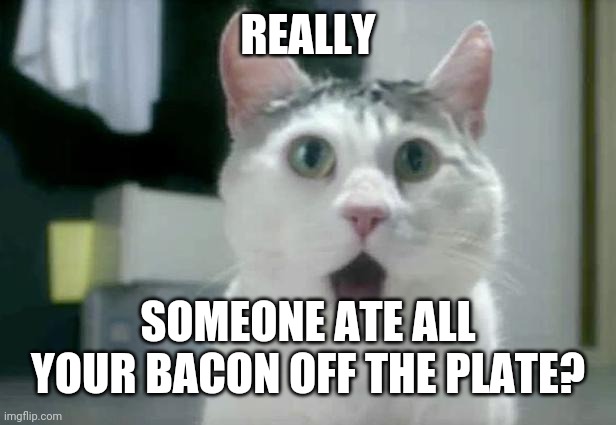 OMG Cat Meme | REALLY; SOMEONE ATE ALL YOUR BACON OFF THE PLATE? | image tagged in memes,omg cat | made w/ Imgflip meme maker