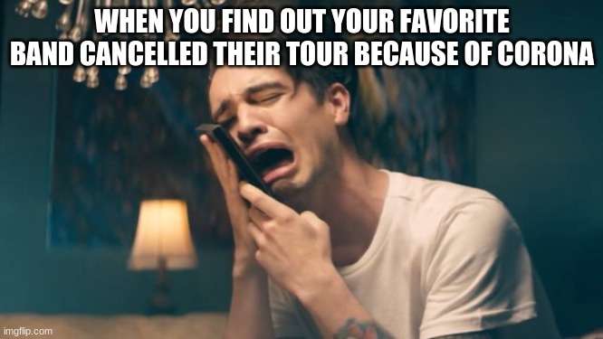 Sad Panic! at the Disco | WHEN YOU FIND OUT YOUR FAVORITE BAND CANCELLED THEIR TOUR BECAUSE OF CORONA | image tagged in sad panic at the disco | made w/ Imgflip meme maker