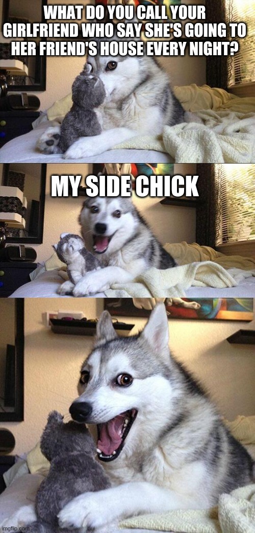 Bad Pun Dog Meme | WHAT DO YOU CALL YOUR GIRLFRIEND WHO SAY SHE'S GOING TO HER FRIEND'S HOUSE EVERY NIGHT? MY SIDE CHICK | image tagged in memes,bad pun dog | made w/ Imgflip meme maker