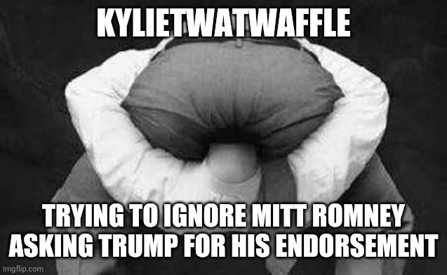 Head up ass  | KYLIETWATWAFFLE TRYING TO IGNORE MITT ROMNEY ASKING TRUMP FOR HIS ENDORSEMENT | image tagged in head up ass | made w/ Imgflip meme maker
