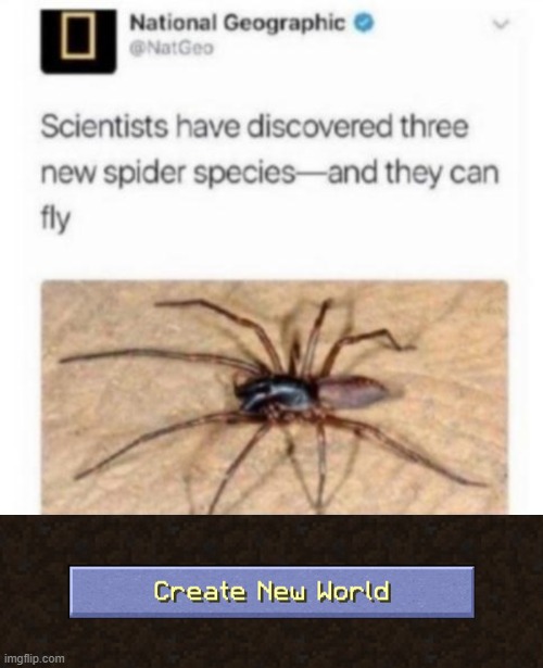 Kill it! | image tagged in memes,funny,spider,create,flying | made w/ Imgflip meme maker