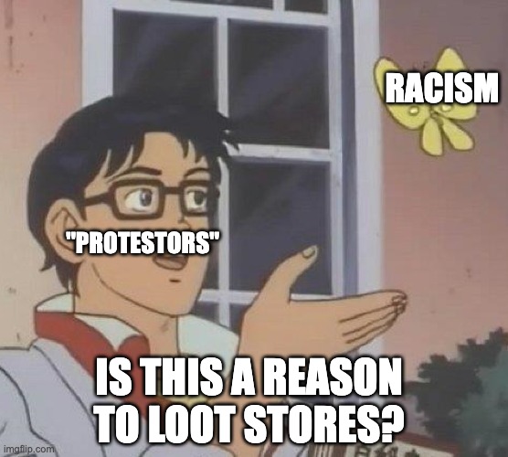 Isthisapigeon | RACISM; "PROTESTORS"; IS THIS A REASON TO LOOT STORES? | image tagged in isthisapigeon,memes | made w/ Imgflip meme maker