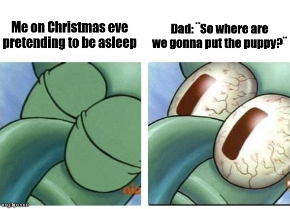 SQuidward | Dad: ¨So where are we gonna put the puppy?¨; Me on Christmas eve pretending to be asleep | image tagged in oh shit squidward,puppy | made w/ Imgflip meme maker