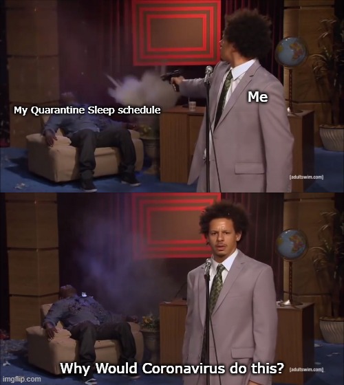 Why would X do this | Me; My Quarantine Sleep schedule; Why Would Coronavirus do this? | image tagged in why would x do this | made w/ Imgflip meme maker