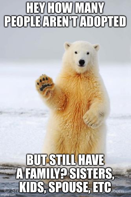 hello polar bear | HEY HOW MANY PEOPLE AREN'T ADOPTED; BUT STILL HAVE A FAMILY? SISTERS, KIDS, SPOUSE, ETC | image tagged in hello polar bear | made w/ Imgflip meme maker