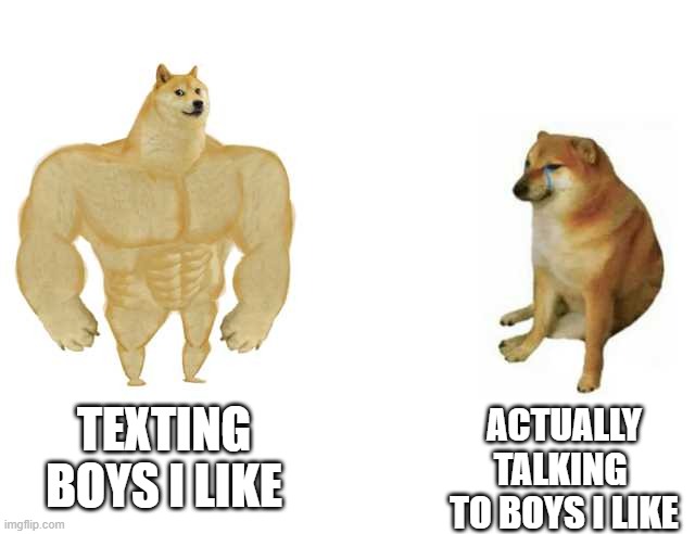 Buff Doge vs. Cheems Meme | ACTUALLY TALKING  TO BOYS I LIKE; TEXTING BOYS I LIKE | image tagged in strong doge weak doge | made w/ Imgflip meme maker