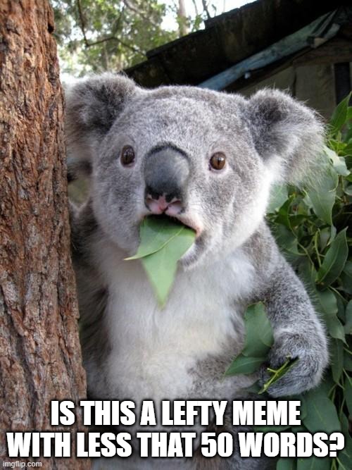 IS THIS A LEFTY MEME WITH LESS THAT 50 WORDS? | image tagged in memes,surprised koala | made w/ Imgflip meme maker