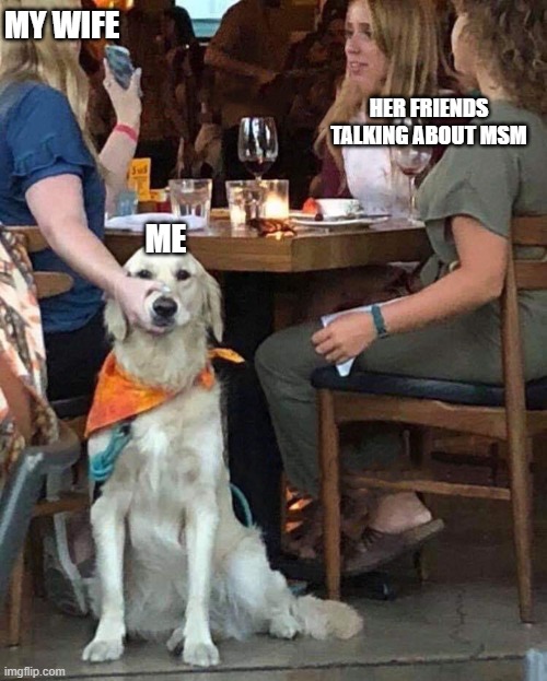 MY WIFE; HER FRIENDS TALKING ABOUT MSM; ME | image tagged in memes | made w/ Imgflip meme maker