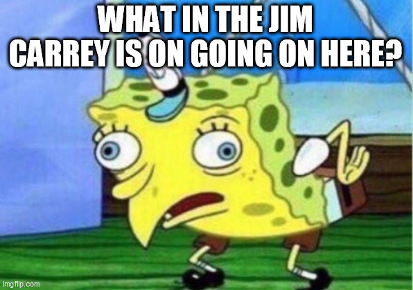 Mocking Spongebob Meme | WHAT IN THE JIM CARREY IS ON GOING ON HERE? | image tagged in memes,mocking spongebob | made w/ Imgflip meme maker