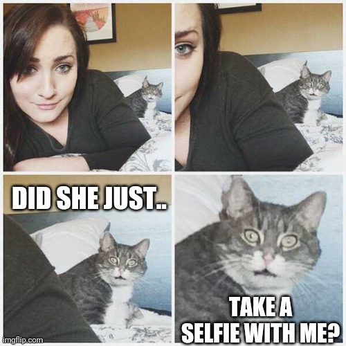 WTF CAT | DID SHE JUST.. TAKE A SELFIE WITH ME? | image tagged in cats,funny cats | made w/ Imgflip meme maker