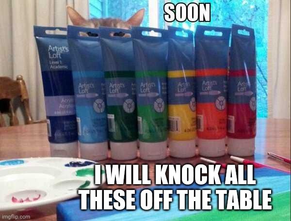 CATS KNOCK EVERYTHING OFF | I WILL KNOCK ALL THESE OFF THE TABLE | image tagged in cats,funny cats | made w/ Imgflip meme maker