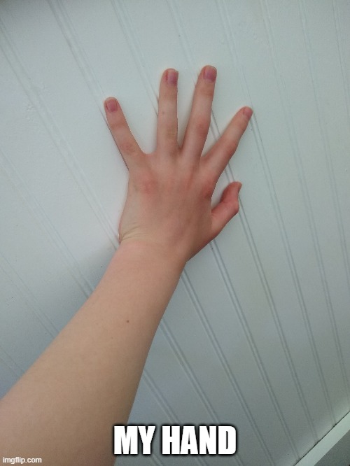 MY HAND | image tagged in memes,gifs,demotivationals | made w/ Imgflip meme maker
