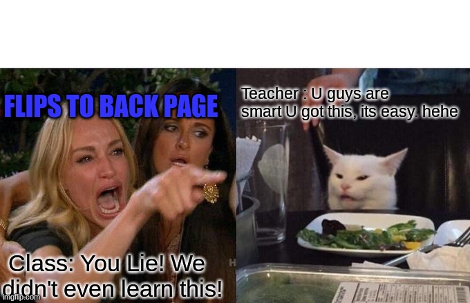 Woman Yelling At Cat | FLIPS TO BACK PAGE; Teacher : U guys are smart U got this, its easy. hehe; Class: You Lie! We didn't even learn this! | image tagged in memes,woman yelling at cat | made w/ Imgflip meme maker