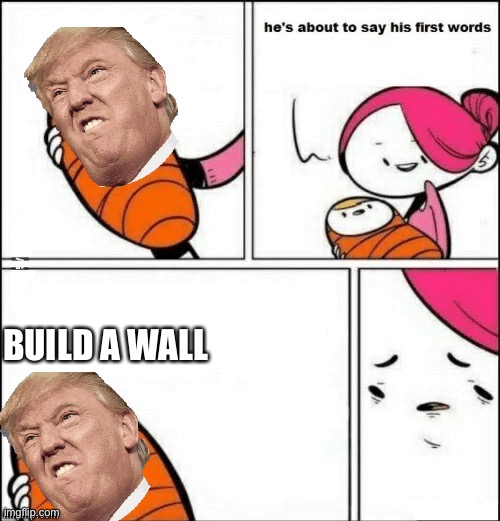 baby first words | BUILD A WALL | image tagged in baby first words | made w/ Imgflip meme maker