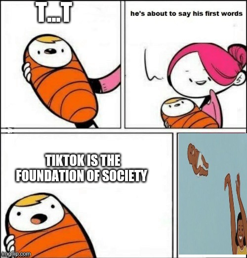 Lies | T...T; TIKTOK IS THE FOUNDATION OF SOCIETY | image tagged in baby first words | made w/ Imgflip meme maker