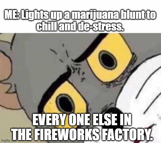 Fireworks Factory Folly | ME: Lights up a marijuana blunt to
chill and de-stress. EVERY ONE ELSE IN THE FIREWORKS FACTORY. | image tagged in tom cat unsettled close up | made w/ Imgflip meme maker