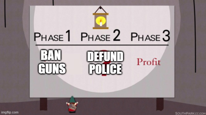 Steal all the stuff. | BAN 
GUNS; DEFUND
POLICE | image tagged in phase 3 profit | made w/ Imgflip meme maker