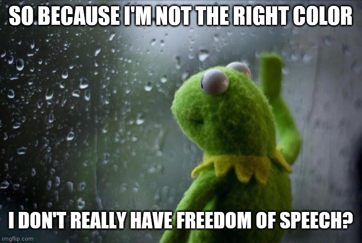 Not easy being green | SO BECAUSE I'M NOT THE RIGHT COLOR; I DON'T REALLY HAVE FREEDOM OF SPEECH? | image tagged in sad kermit,not easy being green,freedom of speech | made w/ Imgflip meme maker