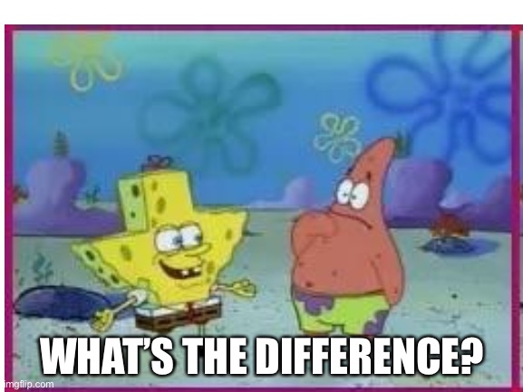 WHAT’S THE DIFFERENCE? | made w/ Imgflip meme maker