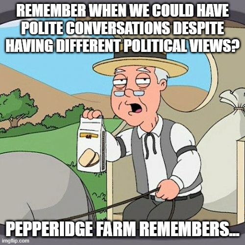Pepperidge Farm Remembers | REMEMBER WHEN WE COULD HAVE POLITE CONVERSATIONS DESPITE HAVING DIFFERENT POLITICAL VIEWS? PEPPERIDGE FARM REMEMBERS... | image tagged in memes,pepperidge farm remembers | made w/ Imgflip meme maker