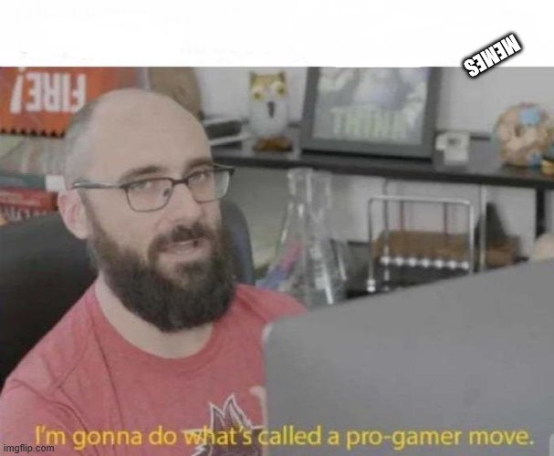 Pro Gamer move | MEMES | image tagged in pro gamer move | made w/ Imgflip meme maker